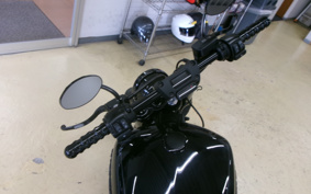 HARLEY FXBB 2019 YJJ