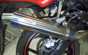 KAWASAKI NINJA 250R