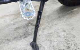 HONDA CRF250L 2019 MD47