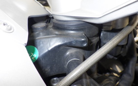 BMW K1200R SPORT 2007