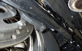 HARLEY FLI1870 2024