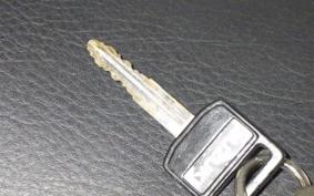 SUZUKI VOLTY