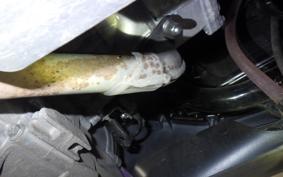 HONDA PCX125 2023 JK05