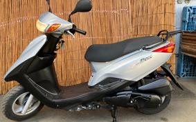 YAMAHA AKUSHI STREET SE53J