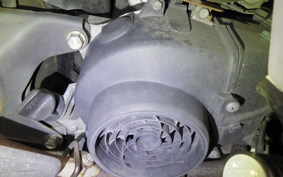 HONDA BENLY 110 2022 JA09