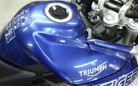 TRIUMPH TIGER 800 XR T 2019