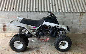 YAMAHA YF350Z 3GG