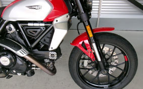 DUCATI SCRAMBLER ICON 2024 7K00