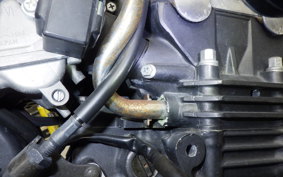 HONDA HORNET 250 2007 MC31