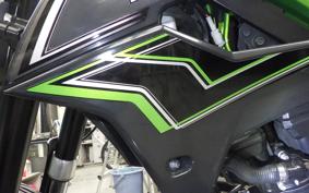 KAWASAKI KLX250D TRACKER X 2024 LX250V
