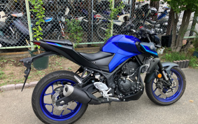 YAMAHA MT-25 RG74J