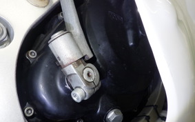 SUZUKI RGV250 Gamma 2025 VJ21A