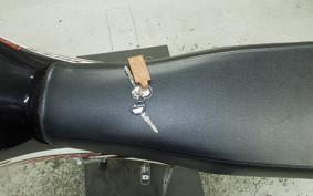 KAWASAKI SUPER SHERPA KL250G