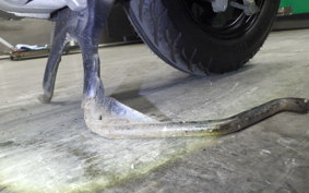 SUZUKI ﾚｯﾂ CA4AA