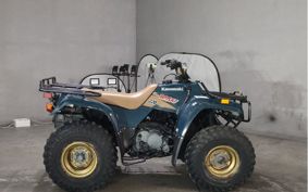 KAWASAKI BAYOU 220 LFBA17