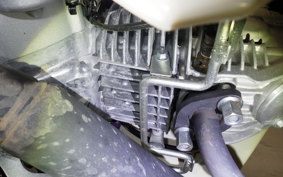 HONDA C110 SUPER CUB 2024 JA59