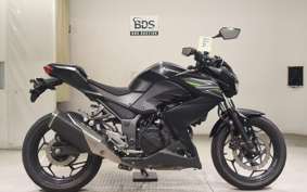 KAWASAKI Z250 2022 ER250C