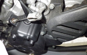 OTHER メガリ 250R