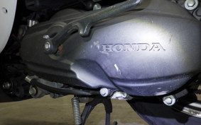 HONDA GIORNO 3 AF77