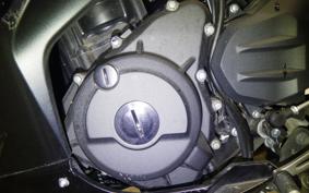 KAWASAKI NINJA 250 2022 EX250Y