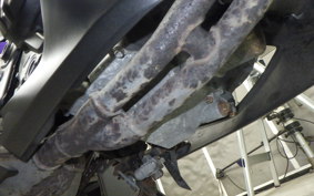 YAMAHA YZF-R25 2024 RG10J