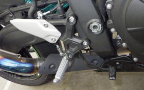 KAWASAKI ZX-4RR 2025 ZX400P