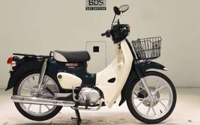 HONDA C110 SUPER CUB 2024 JA59