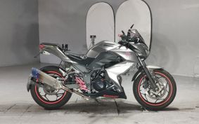 KAWASAKI Z250 ER250C