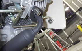 HONDA C50 SUPER CUB 2020 AA09