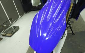 YAMAHA WR250R DG15J