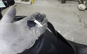 YAMAHA MT-25 2013 RG10J