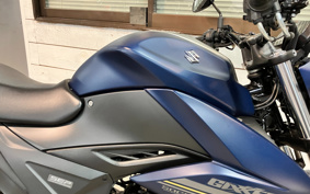 SUZUKI JIKUSA-250 ED22Y
