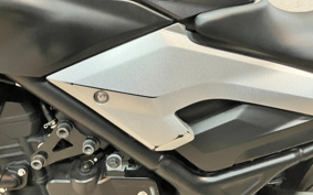 YAMAHA MT-25 RG10J