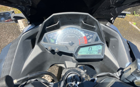 KAWASAKI NINJA 250 EX250L