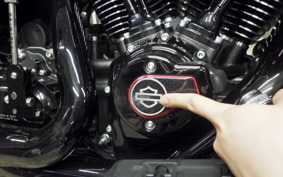 HARLEY FLTRXSTSE1980CVO 2024