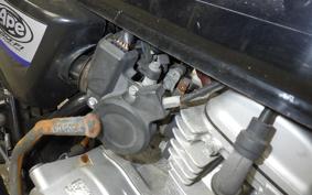 HONDA APE 50 2024 AC16