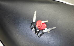 YAMAHA N-MAX 155 A 2019 SG50J