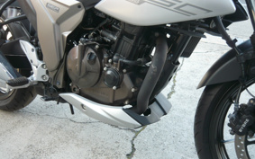 SUZUKI JIKUSA-250 ED22B