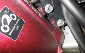 YAMAHA YZF-R1 2009 RN24J