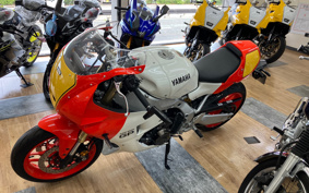 YAMAHA XSR900 GP 2025 RN96J