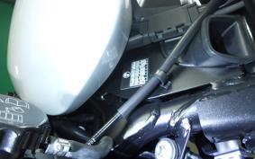 TRIUMPH TRIDENT 660 2026
