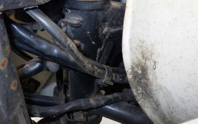 KAWASAKI GPX250R 2024 EX250E