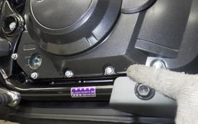 OTHER Vｽﾄﾛｰﾑ250A 2019