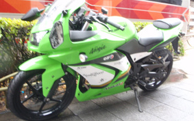 KAWASAKI NINJA 250R EX250K