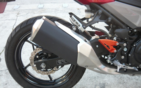 KAWASAKI NINJA 250 EX250P