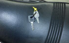 HARLEY XL1200XS 2018