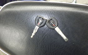 OTHER +GPX LEGEND250ﾌﾞﾗｲﾄﾝ 2025