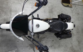 HARLEY XL1200NS 2019