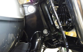 HARLEY FXBR1920 2025