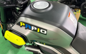 OTHER CFMOTO XO-2 PAPIO